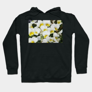 White Pansies After Rain Hoodie